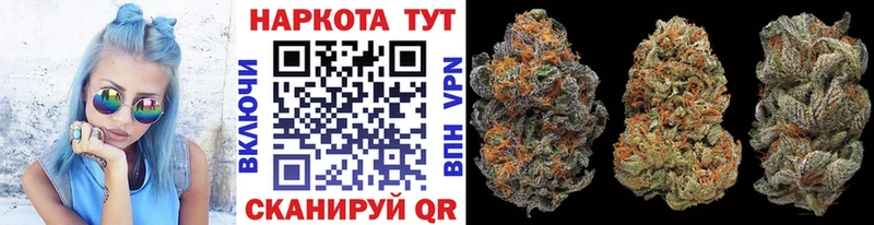 Продажа наркотиков Чудово ГАШИШ  Каннабис  Alpha-PVP  МЕФ  Кокаин 