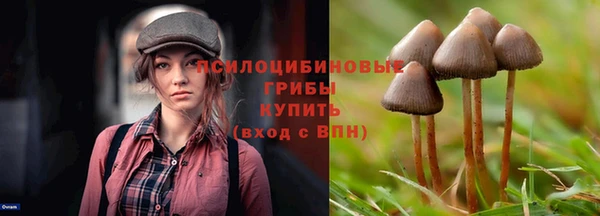 винт Баксан
