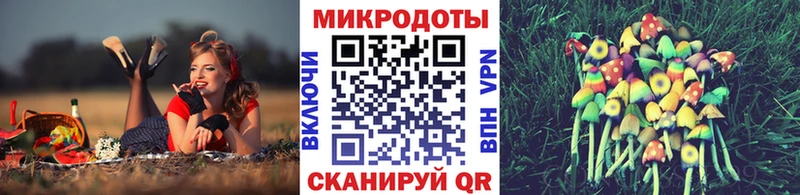 Псилоцибиновые грибы Psilocybe  как найти закладки  Чудово 